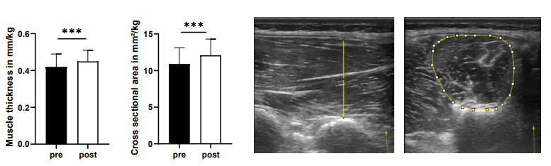 Screenshot 2025-10-27 124725