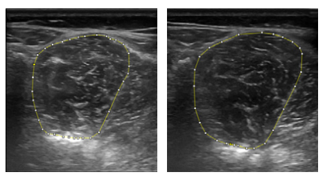 Screenshot 2025-10-27 130546