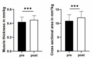 Grafik zum Vergleich der muskulären Anpassung: Veränderung von Muskeldicke